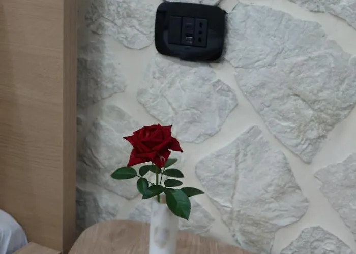 Oda ve Kahvaltı Casa Nika